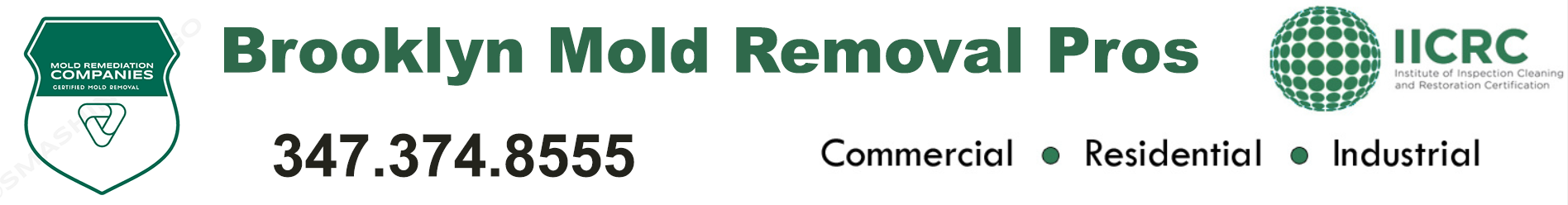 Brooklyn Mold Removal Pros